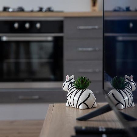 Apartman Ena Bjelovar Dış mekan fotoğraf