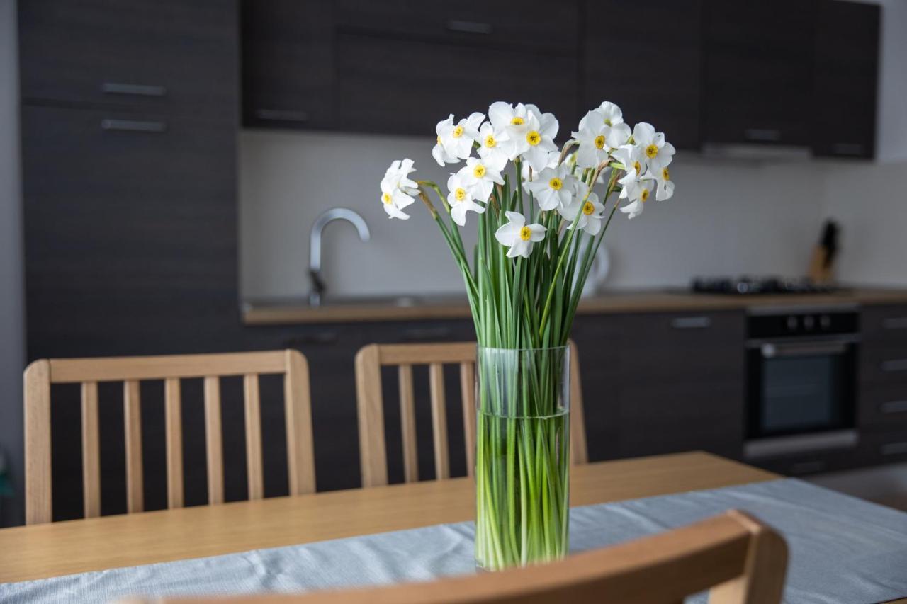 Apartman Ena Bjelovar Dış mekan fotoğraf