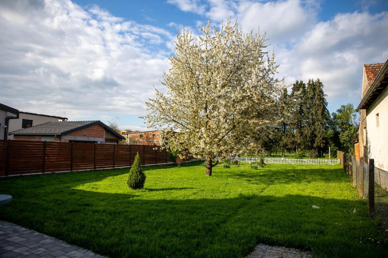 Apartman Ena Bjelovar Dış mekan fotoğraf